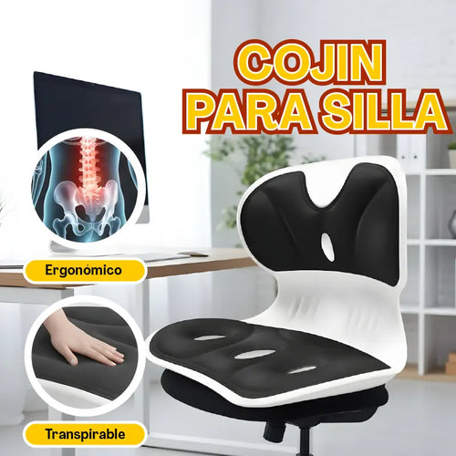 Asiento Ergonómico con Soporte Lumbar😮‍💨